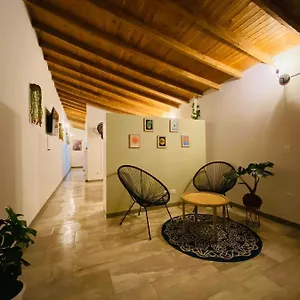 Subotanico Poblado, , Medellin Colombia